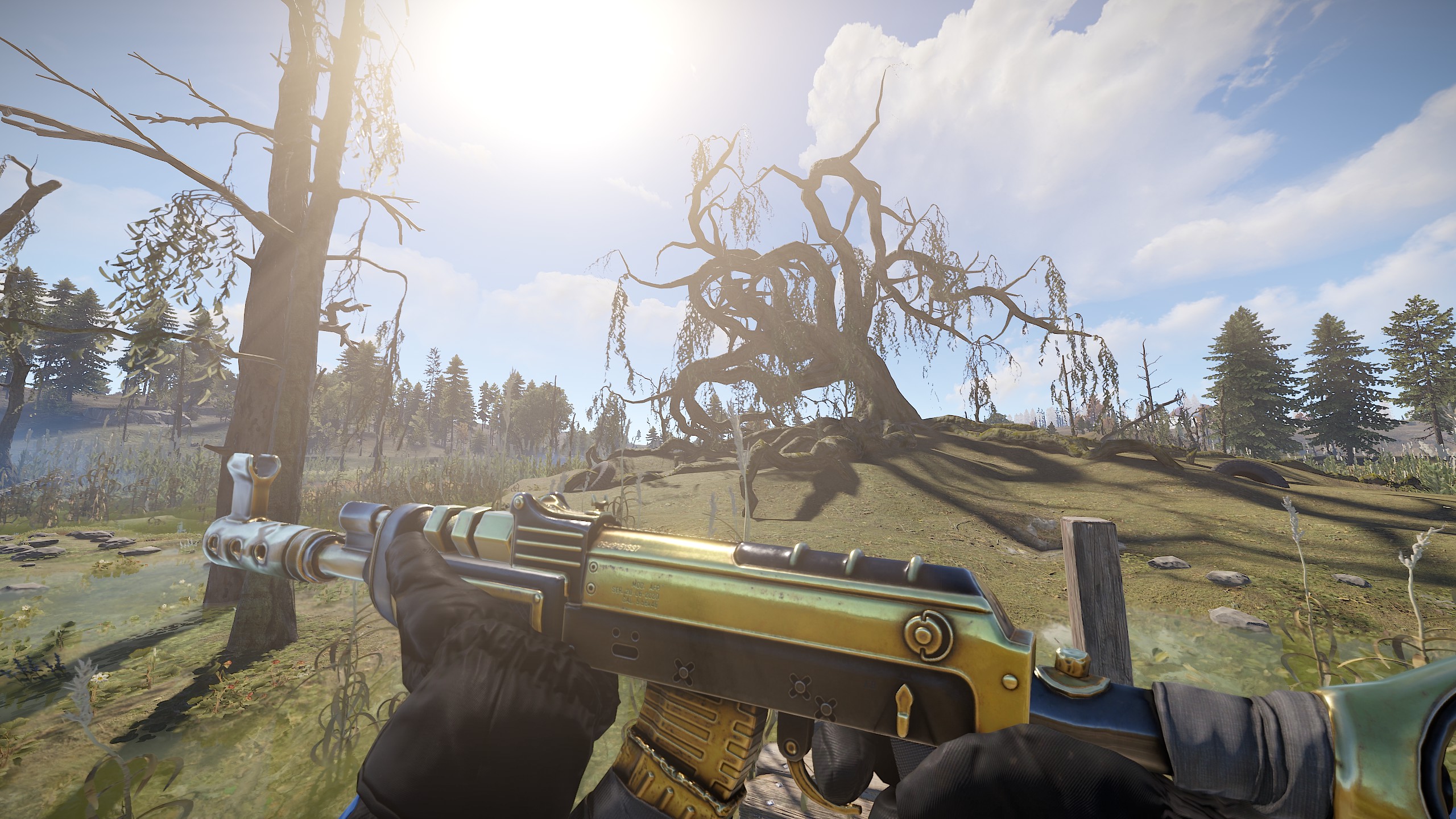 Black Gold AR