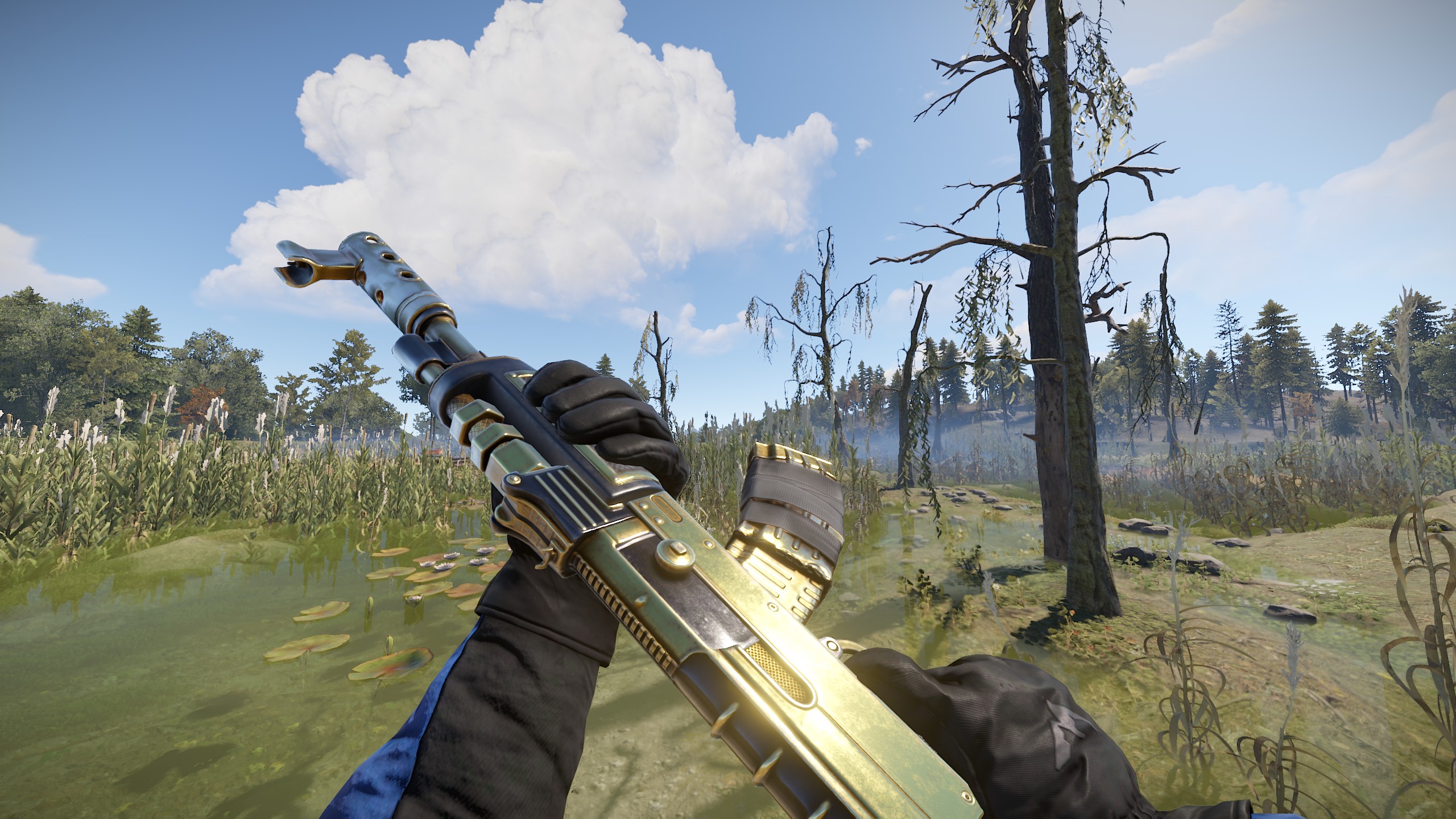 Black Gold AR
