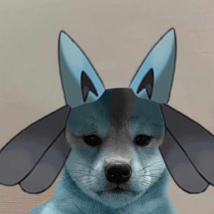 Lucario Dog