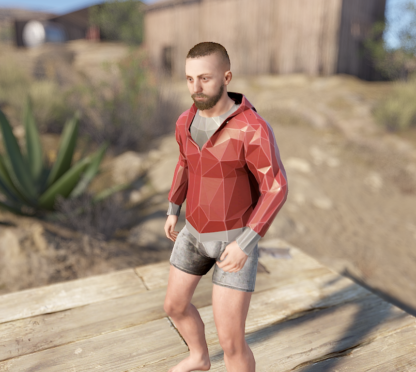 Low Poly Hoodie