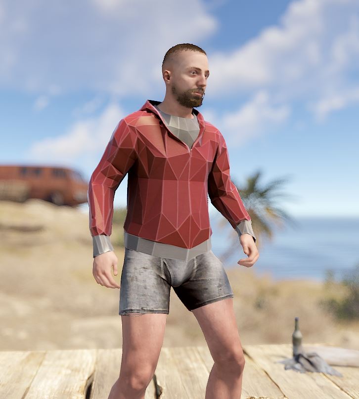 Low Poly Hoodie