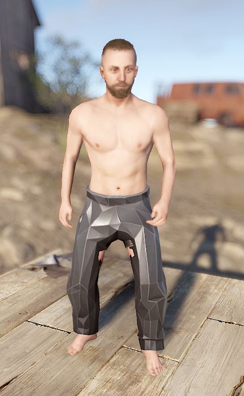 Low Poly Pants
