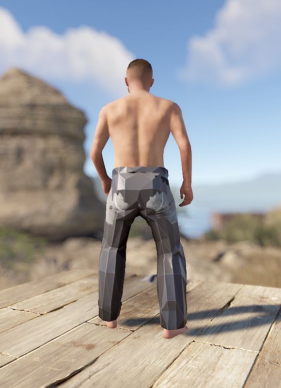 Low Poly Pants
