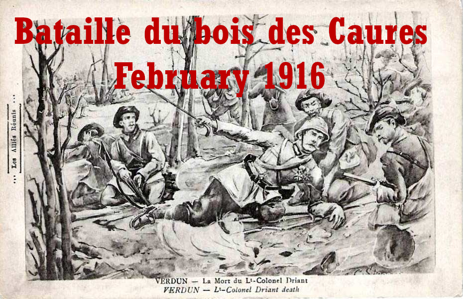 Bataille du Bois des Caures [Mission WW1]