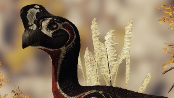 Red Breasted Oviraptor [ Valentine 2023 ]