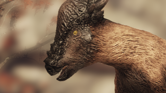 Bison Pachy