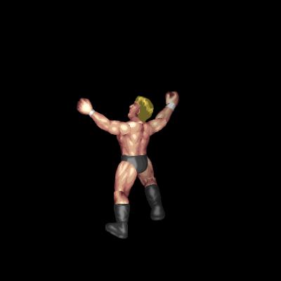 Ayatollah Pose (normal taunt category)
