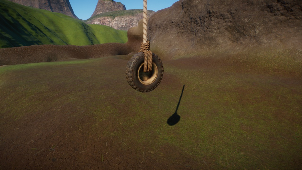 Tire Swing