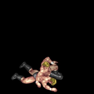 Omoplata (guard counter)
