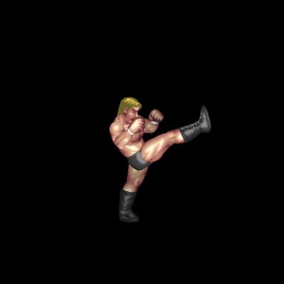 Front High Kick B (standing)