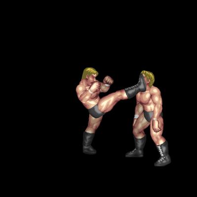 Front High Kick B (clincher)