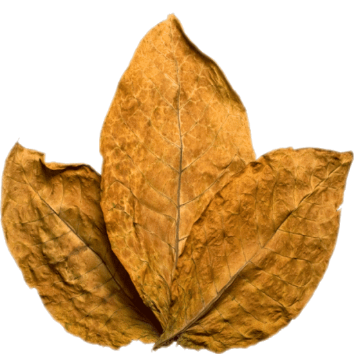 Tabak