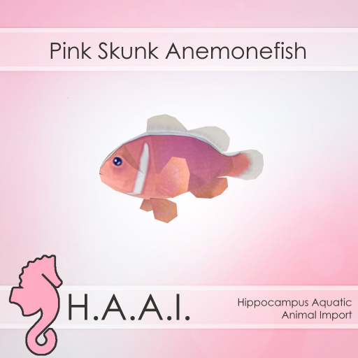 H.A.A.I. - Pink Skunk Anemonefish