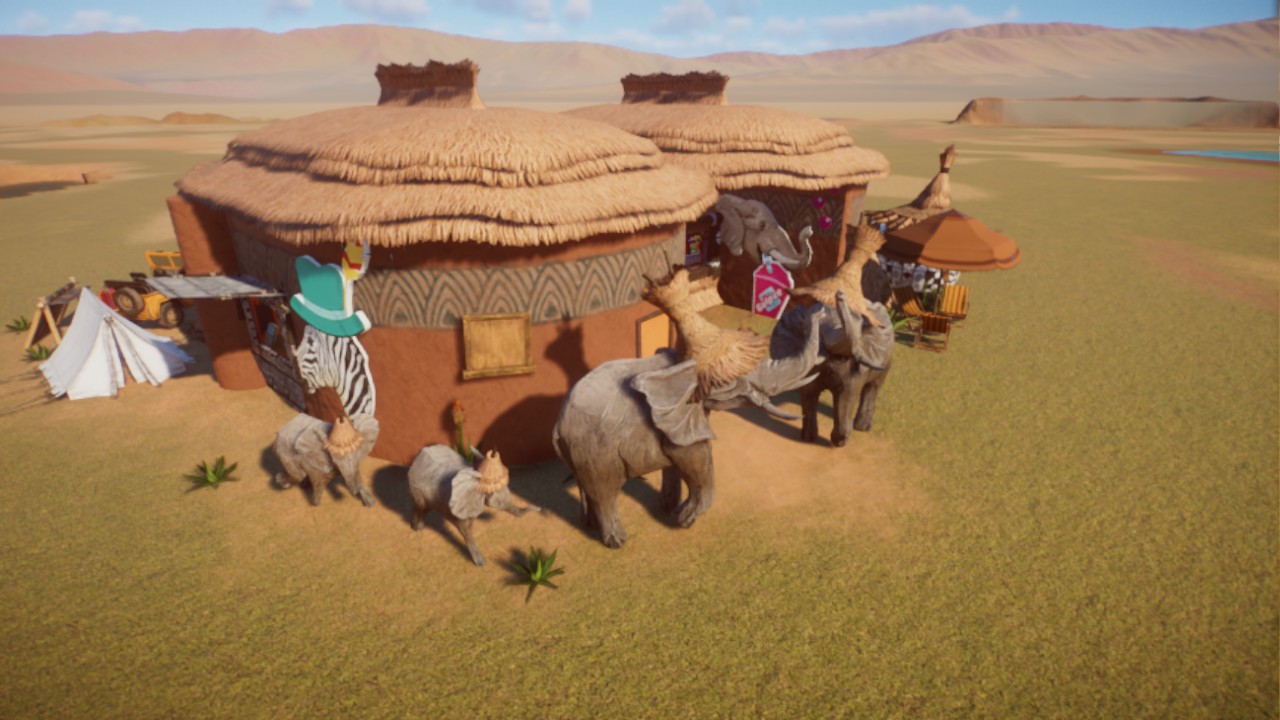 Africa shops