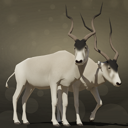 Zooquarium - Addax