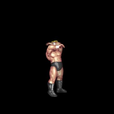 Scott Hall Finish It Taunt