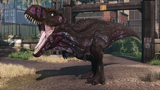 Insolitus Rex