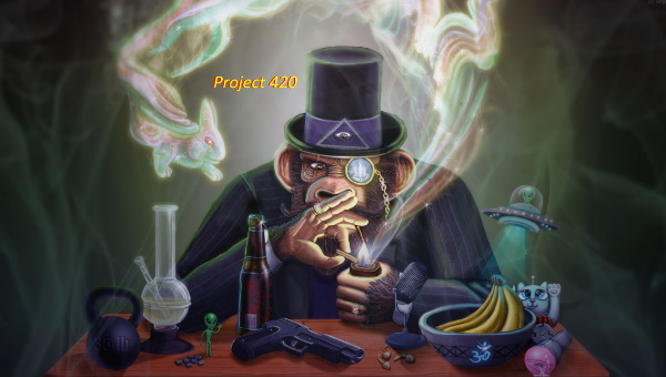 Project 420