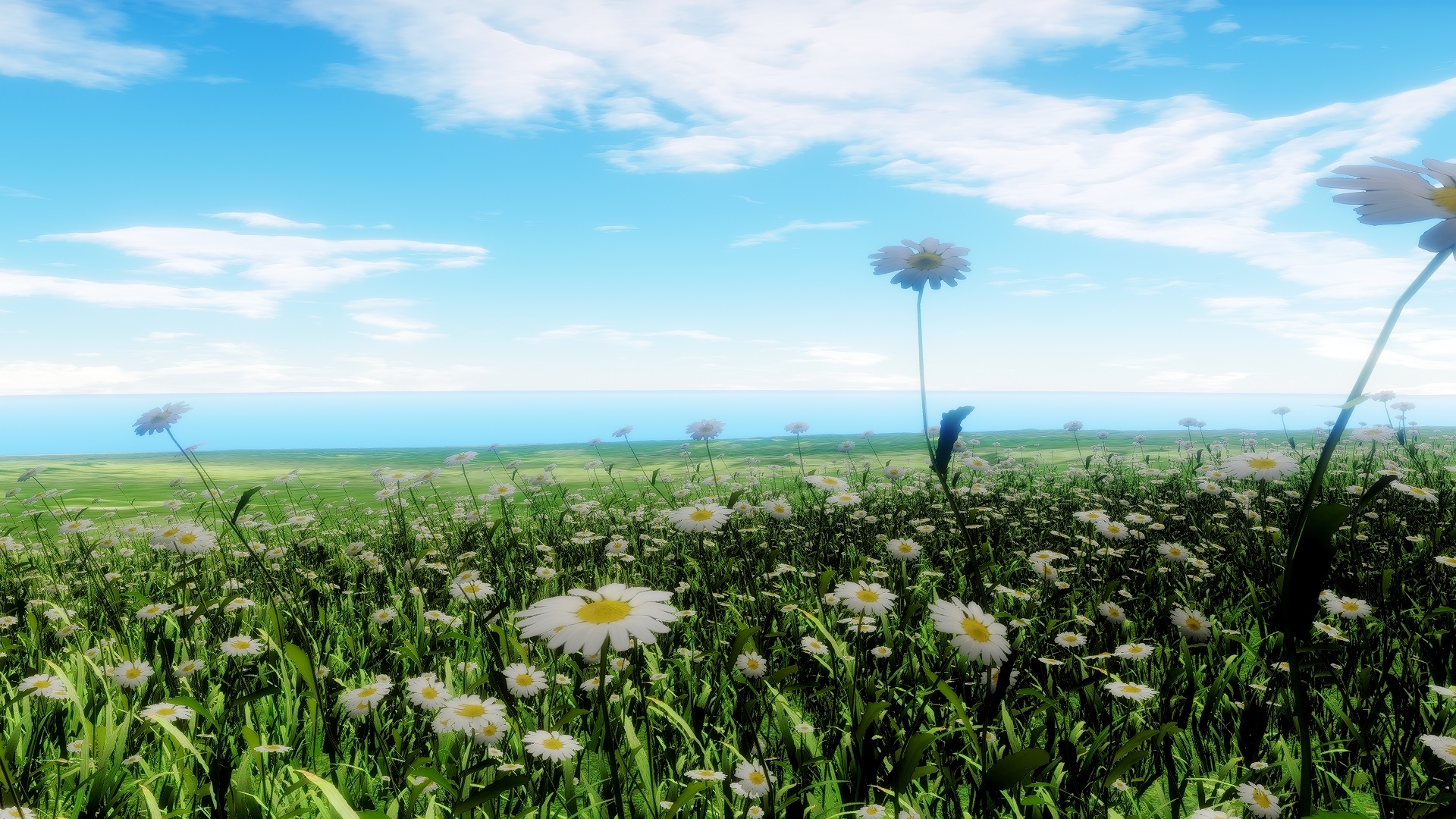 HQ Grass