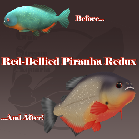 Gulf Stream Aquaria - Red-Bellied Piranha Redux
