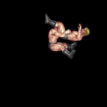Wild Liger Bomb (B.A. Counter)
