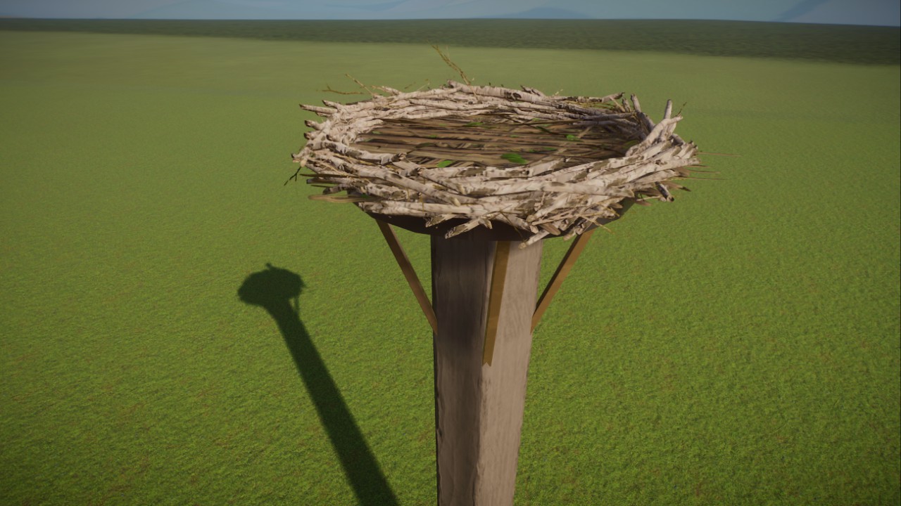 Stork Nest (big bird nest)