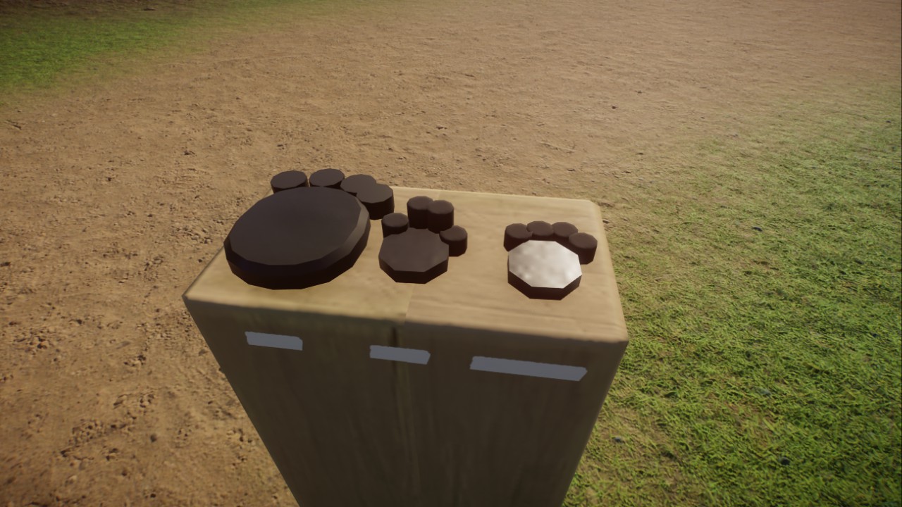 Animal Paw Display