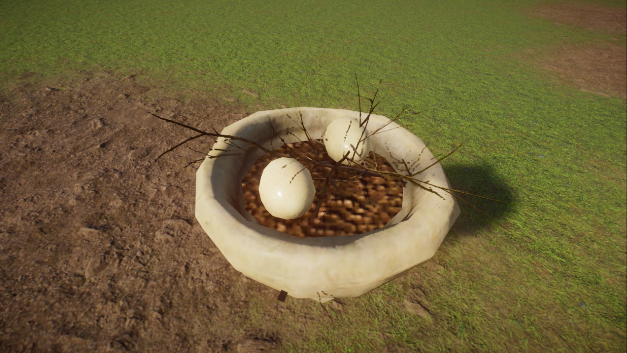 Small Bird Nest Display