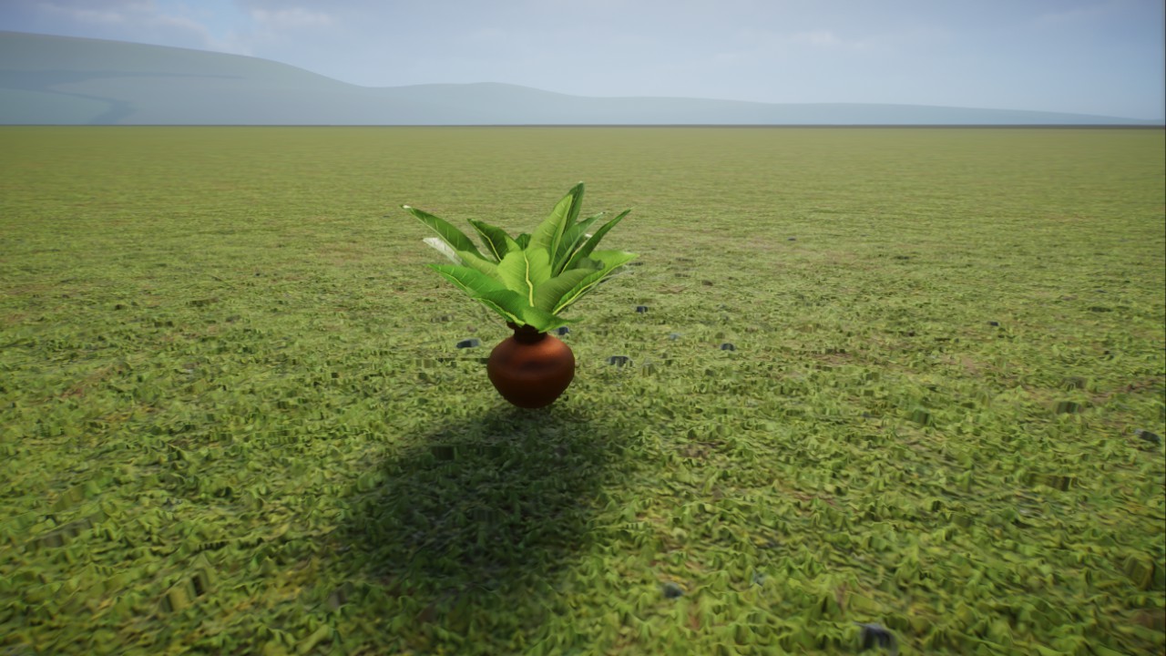 Tiny Plant Pot