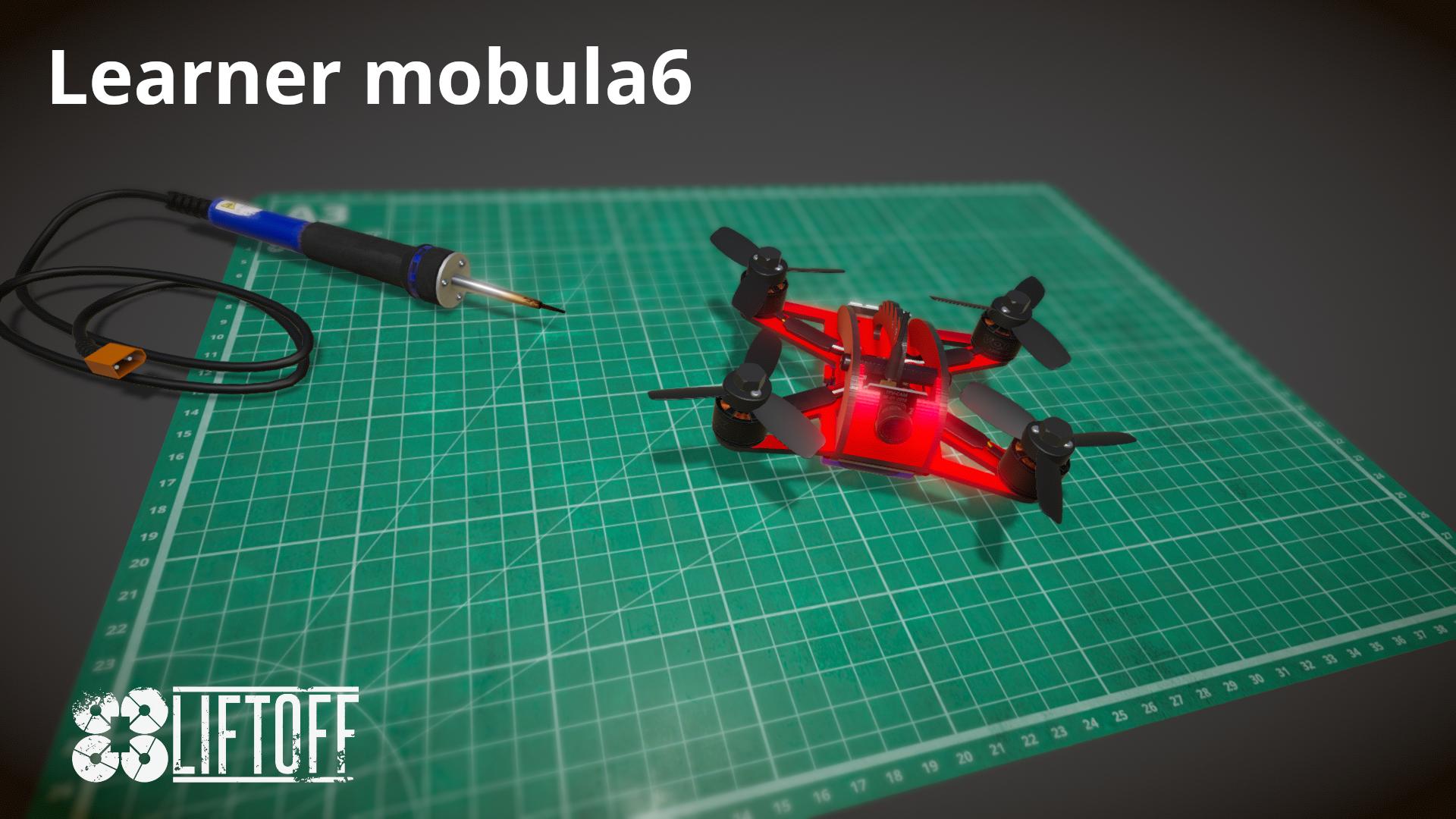 Learner mobula6