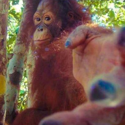 Return to Monkey