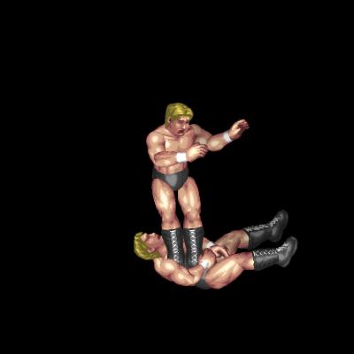 Mount Double Stomp (guard)