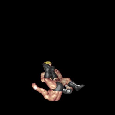 Omoplata Attempt (guard counter)