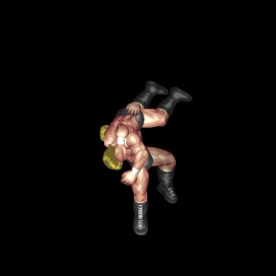 Powerslam (front grapple)
