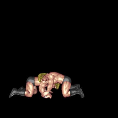 Tomoe Nage (mount)
