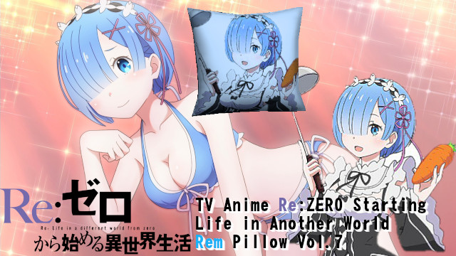 TV Anime Re ZERO -Starting Life in Another World Rem Pillow Vol.7