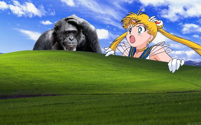 Chimp x Sailor Moon