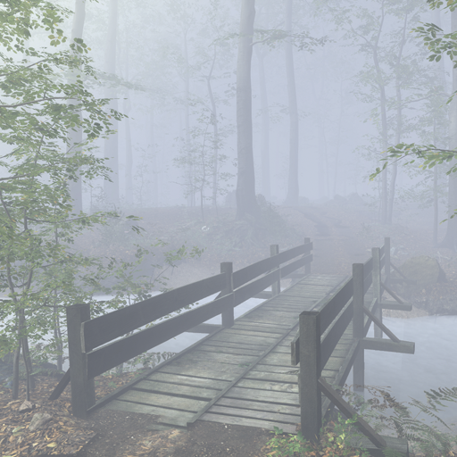 Foggy forest