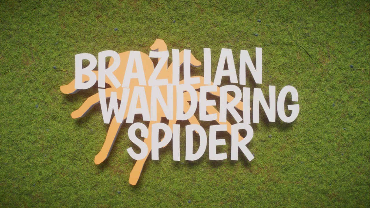 Brazilian Wandering Spider Sign