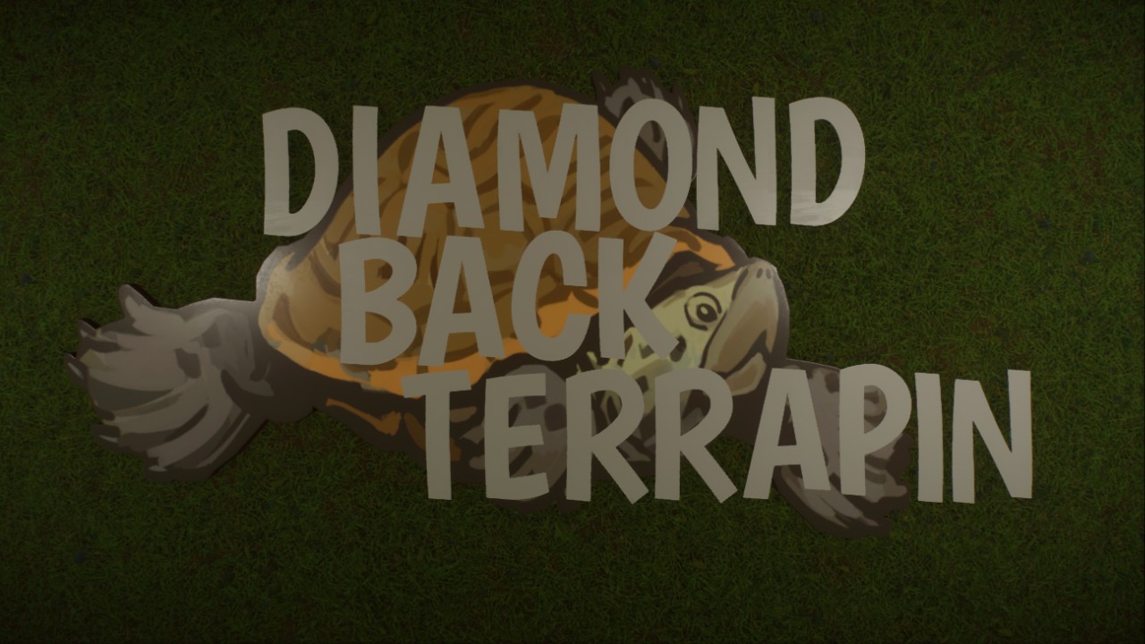 Diamond Back Terrapin Sign