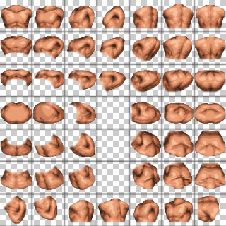Small Ripped Base 3 (Chest)