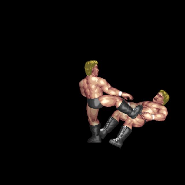 胸板ミドルキック ダウン(組小)/Middle Kick To Chest - Down(FGrappleS)