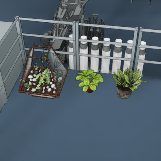Three plants