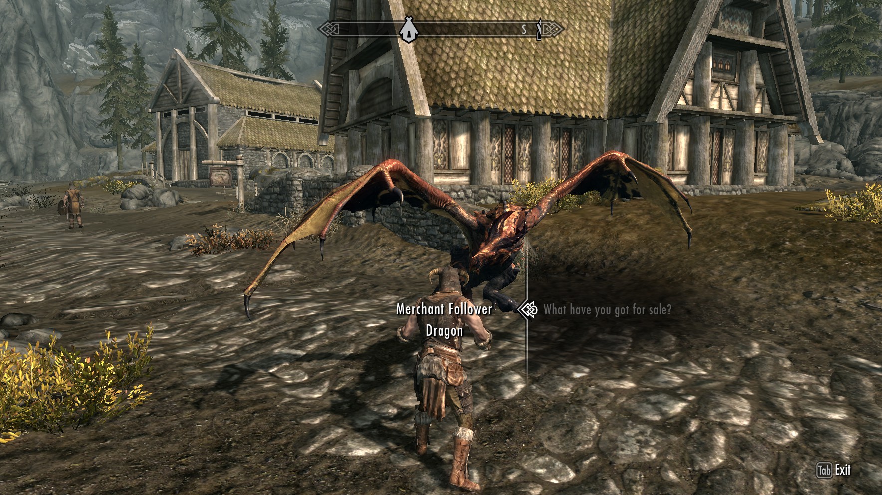 Little Merchant Dragon Follower