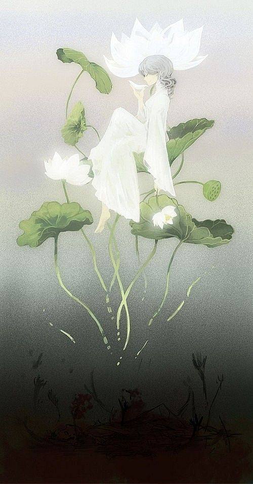突破大礼包到化神