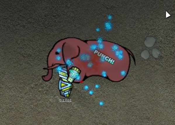 Screenshot 13