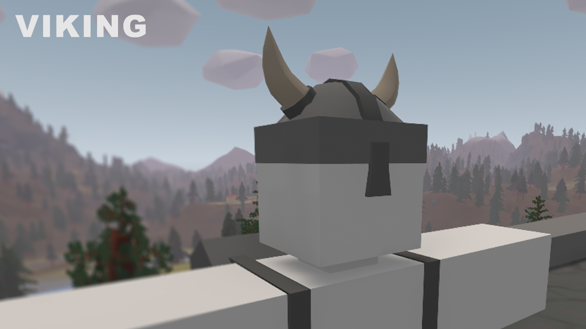 Hat Viking [Combocrate 2024]