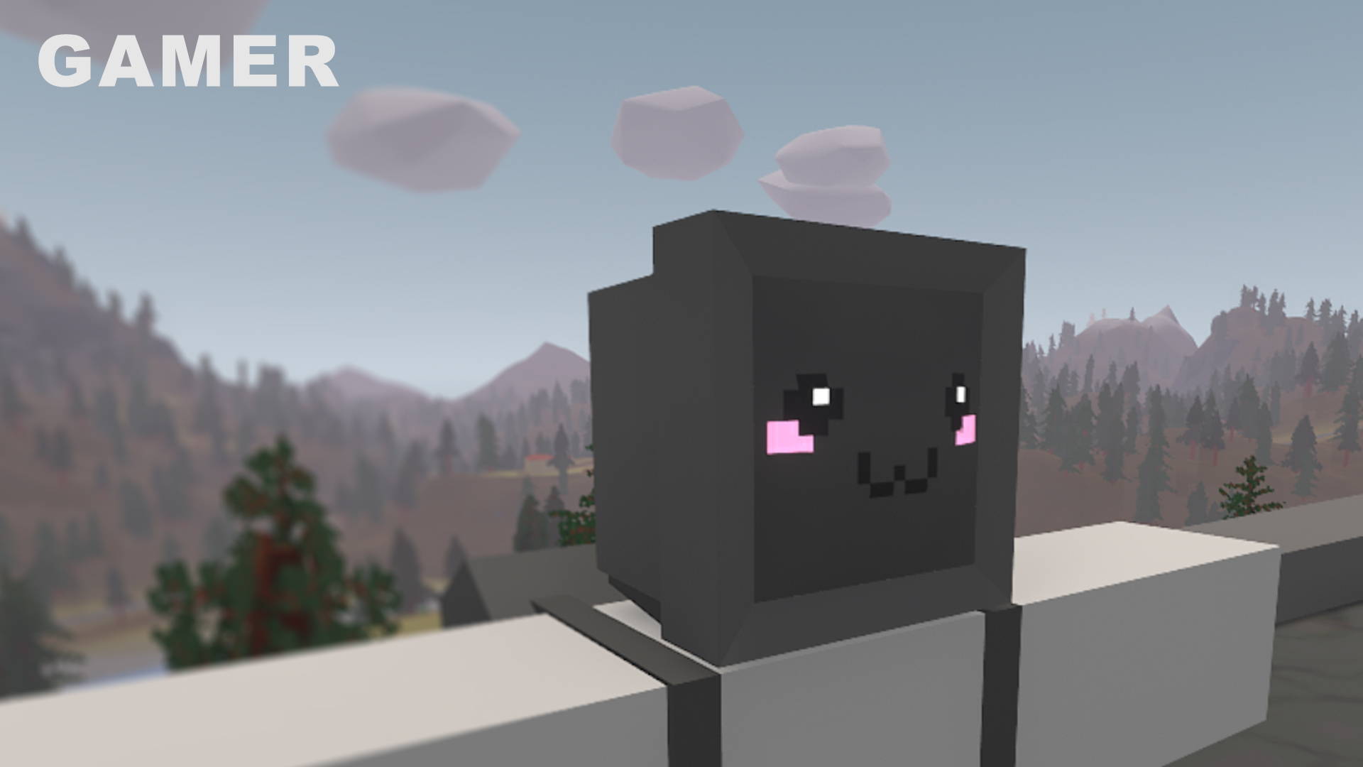 Hat Gamer [Combocrate 2024]