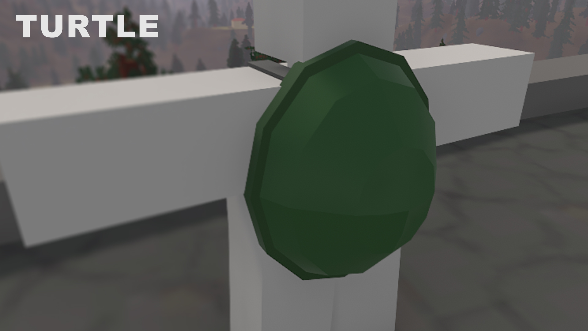 Backpack Turtle