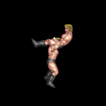 Package Powerbomb